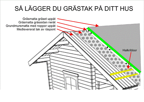 grästak